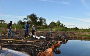 DTPHP Targetkan April Selesai Olah Lahan 1.200 Ha Desa Bentuk Jaya