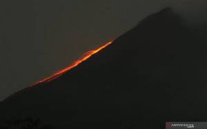 Gunung Merapi Meluncurkan Guguran Lava Pijar Sejauh 1 Km