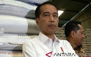 Presiden Jokowi Tegaskan Beras Impor Belum Masuk
