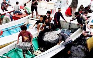 Hasil Tangkapan Nelayan Kubu Melimpah Meski Cuaca Buruk