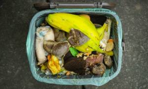 MUI: Makan Sahur dan Iftar Secukupnya Agar Sampah Organik Tak Menumpuk