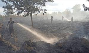 3 Hektare Lahan Kosong di Kelurahan Bukit Tunggal Palangka Raya Terbakar