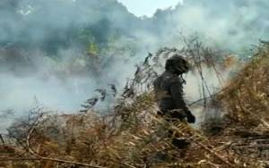 Pemadaman Kebakaran Hutan di Tasik Payawan dan Kamipang Dilanjutkan Besok