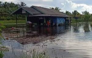 Puluhan Rumah Warga Desa Lampuyang Juga Terendam Banjir 