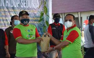 Plt Sekda Kalteng Berikan Bantuan Bibit Pohon kepada Kelurahan Kereng Bangkirai