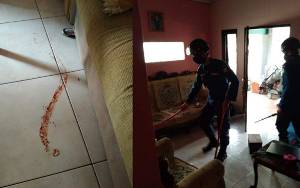 Kobra Mendesis, Pas Dicari Petugas Hanya Menemukan Jejak Mengerikan Ini