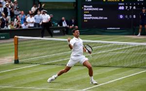 Jinakkan Shapovalov, Djokovic Bertemu Berrettini di Final Wimbledon
