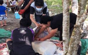 DKPP Sukamara Lakukan Pemeriksaan Kesehatan Hewan Kurban