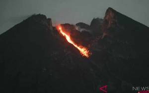 Guguran Lava Pijar Meluncur 15 Kali dari Gunung Merapi