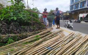 Bambu Umbul-umbul Kian Langka di Sampit, Cek Harganya