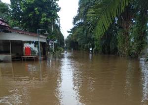 7 Desa di Kecamatan Batu Ampar Terdampak Banjir