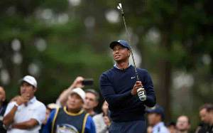 Putter Golf Milik Tiger Woods Terjual Rp 5,7 Miliar di Pelelangan