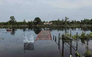 Banjir Tenggelamkan Puluhan Tambak Ikan di Desa Sungai Pasir, Kerugian Capai Ratusan Juta Rupiah