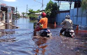 Pengamat Lingkungan: Perubahan Iklim Salah Satu Penyebab Banjir di Kalteng