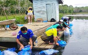 Dinas Perikanan Barito Timur Mulai Restocking Ikan di Perairan Umum