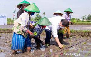 Menko Airlangga Dukung Smart Farming Petani Milenial