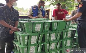 Borneo Titian Berjaya Ekspor 15,5 Ton Kratom ke Belanda