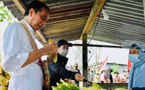 Presiden Jokowi Mampir Beli Jagung Rebus di Pinggir Jalan