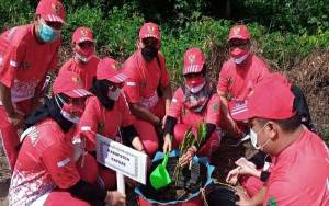 Kontingen Kapuas Tanam Pohon Mangrove Rangkaian IKBAB di Seruyan