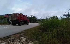 Warga Soroti Rumput Tepi Jalan Soekarno-Hatta Kasongan Ganggu Pandangan