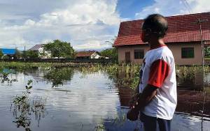Miris, Petani di Kelurahan Kalampangan Terancam Gagal Panen Akibat Banjir