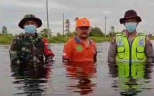 Banjir Jalan Trans Kalimantan Poros Tengah Lebih 1 Meter