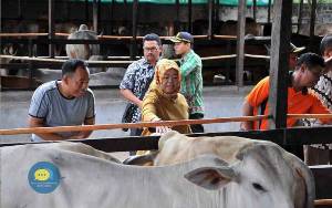 Anggota Dewan: Kobar Bisa Adopsi Cara Peternakan di Purwokerto