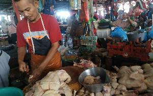 Jelang Nataru, Harga Ayam Potong di Kuala Pembuang Menurun 