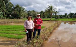 Sebagian Petani di Kecamatan Paku Masih Terkendala Banjir saat akan Menanam Padi