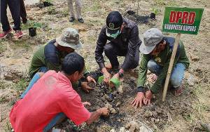 Legislator Kapuas Ini Sambut Baik Pengembangan Kebun Pisang Dukung Food Estate di Saka Lagun