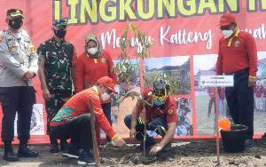 Manfaatkan Lahan Kosong, Gubernur Kalteng Ajak Masyarakat Tanam Pohon Produktif