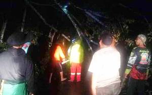 Relawan Singkirkan Pohon Tumbang Halangi Jalan Penghubung Desa Lampeong - Lebo