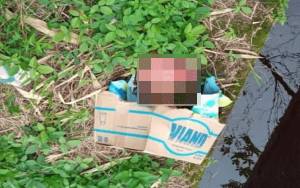 Sesosok Bayi Ditemukan Dalam Kardus di Gang Syuhada Sampit