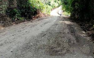 Kerusakan Jalan Desa Pendreh Ditangani Dinas PUPR Barito Utara