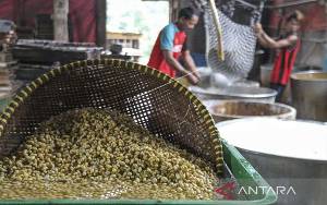 Kementan Ajak Petani Indonesia Perkuat Produksi Kedelai