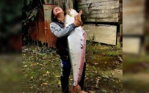 Pemancing Strike Ikan Lais Tembiring 14 Kg di Sungai Kahayan