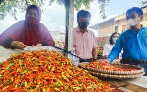 Harga Bawang dan Cabai di Palangka Raya Turun Jelang Ramadan