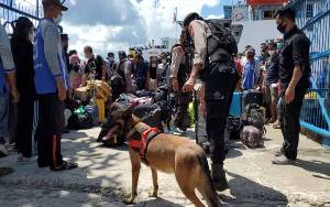 Antisipasi Narkoba dan Bahan Berbahaya, Polda Kalteng Bawa Anjing Pelacak Periksa Bawaan Penumpang Kapal 