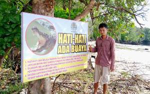 Pengunjung Diminta Tingkatkan Kewaspadaan Keberadaan Buaya di Teluk Sampit hingga Seruyan, Ini Lokasinya?