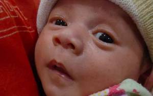 Banyak Warga Berminat Adopsi Bayi yang Ditemukan di Desa Pasir Panjang di Depan Rumah, Ini Prosedurnya
