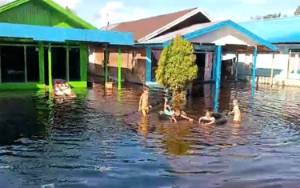 Korban Banjir di Kotim Harapkan Bantuan Air Bersih