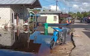 Pemerintah Daerah Diminta Punya Solusi Atasi Desa yang Kerap Banjir