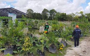 Bupati Kotim Perintahkan SOPD Manfaatkan Halaman Kantor untuk Tanaman Hortikulturb