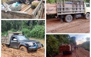 2 Pelaku Ilegal Logging Ditangkap saat Melintasi Jalan Rusak