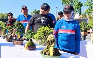 Wakapolda Kalteng Buka Kontes Pameran Bonsai Dukung Pertumbuhan Ekonomi
