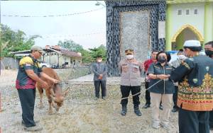 Pemkab Serahkan 21 Hibah Hewan Kurban Kepada Dewan Masjid Indonesia Gunung Mas
