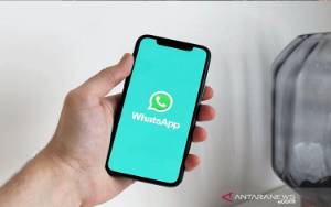 WhatsApp Kembangkan Fitur Sembunyikan Status Online