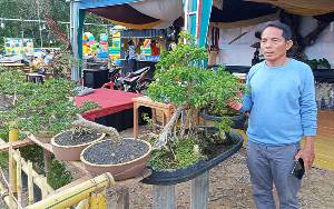 Belajar Tentang Tanaman Bonsai di Expo Bartim 2022