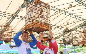 Ratusan Peserta Ikuti Lomba Burung Berkicau Kapolda Kalteng Cup 4