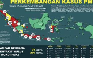 1,5 Juta Lebih Sapi di Indonesia Telah Divaksin PMK